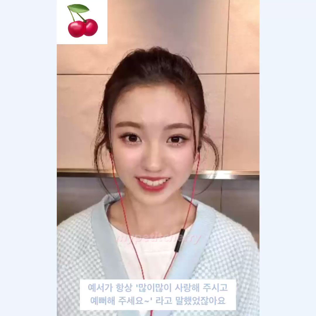 트위터, twitter - 딸플릭스