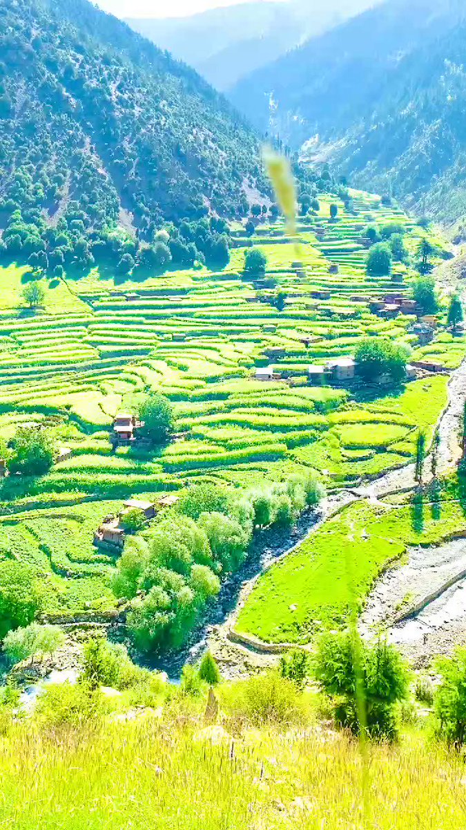 RT @AyubKha78535319: Thor Chilas a beautiful view.
#GilgitBaltistan https://t.co/wBLiAqHJGW