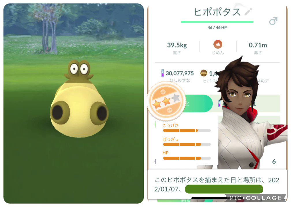 卯月 ポケモンgo ヒポポタスがキラりん オス2体目なのでようやく進化出来ます 実装になったマグマッグの色違い はぐれメタルじゃん 欲しい と思ったんですが ゲットされた方の画像を見るとメタリック感が 無い いや でも欲しいꉂ 笑