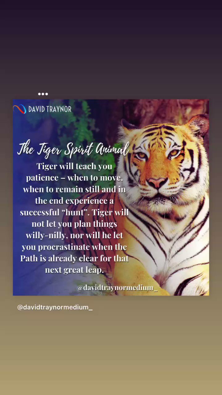 David Traynor - Psychic & Spirit Medium on Twitter: David Traynor - Psychic & Spirit Medium on Twitter: