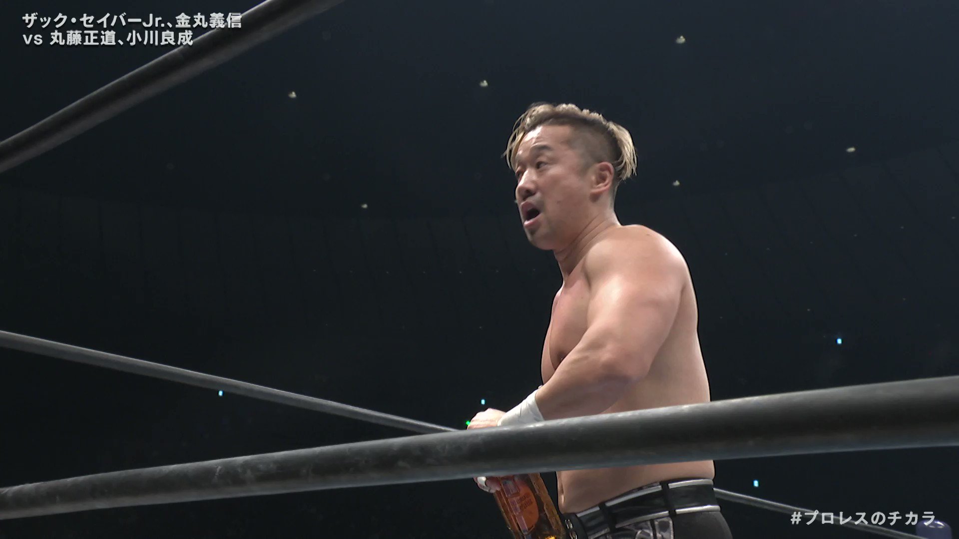 小川良成 モグラハウス そこなわ 丸藤正道 プロレスリングノア
