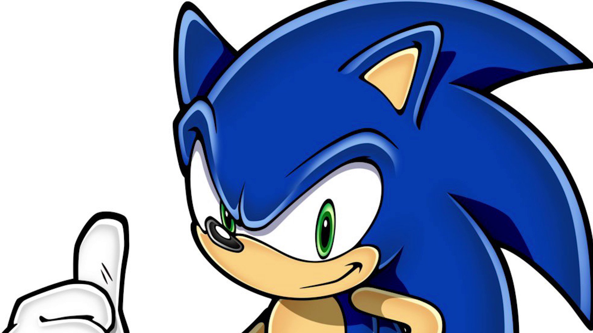 Sonic Renovation