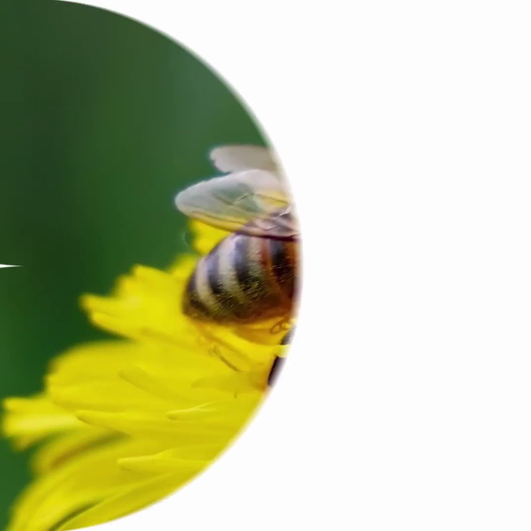 We’re flying into 2022 by continuing to put our sustainability goals at the heart of our business. 🐝
https://t.co/EQqmREgpfp https://t.co/I7bNHhIR5F