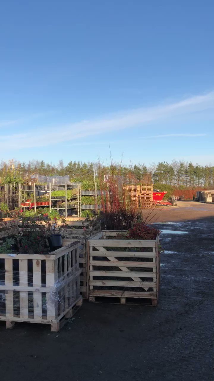 Crowders Nurseries (CrowdersNursery) / Twitter