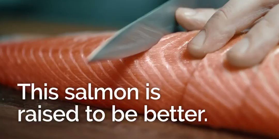 New year, new us. Well not quite new, but we like the theme of improvement. As a @GSI_salmon member, we're committed to continuous change to farm salmon that’s raised to be better. https://t.co/R0yd9kljPi https://t.co/DnN1fWuq2I