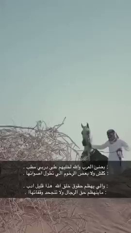 بعض العرب والله لاخليهم على دربي مطب