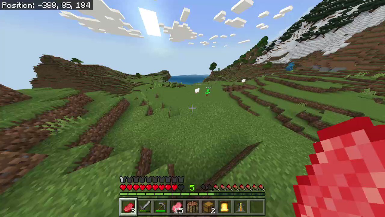 Greg The Pilot Minecraft Nintendoswitch Air Cat T Co 35obnzl0hf Twitter