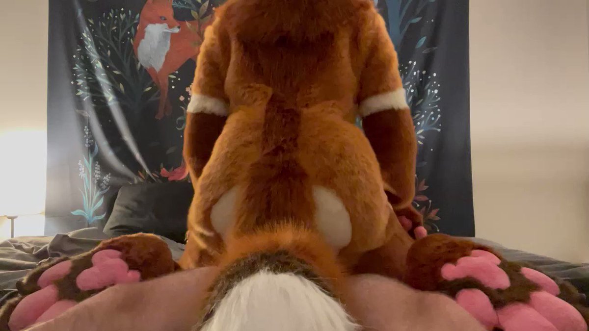Yiff Porn In Real Life - Furry Porn Videos! (@furry_porn_vids) / Twitter