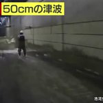 50cmの津波を甘くみてはならない!1mでは死亡率100％