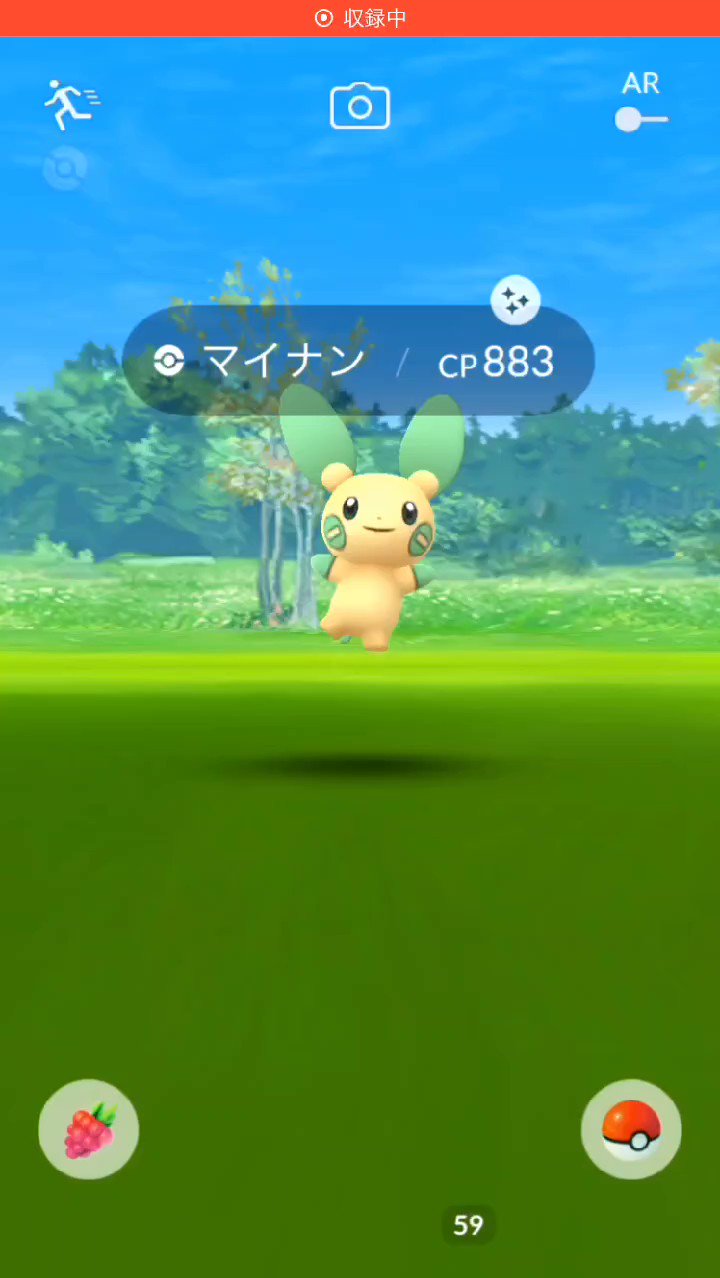 Acky コミュニティデイ中に色違いマイナンが来ました ポケモンgo 色違いポケモン T Co Mn4rhqsh03 Twitter