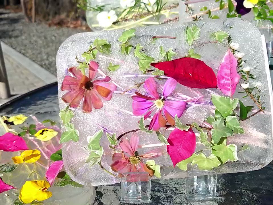 河口湖ならではの氷と花のアートをムービーでお届けします❄️冬でもお外にお花を咲かせて、皆さまをお出迎えします🌸🌼