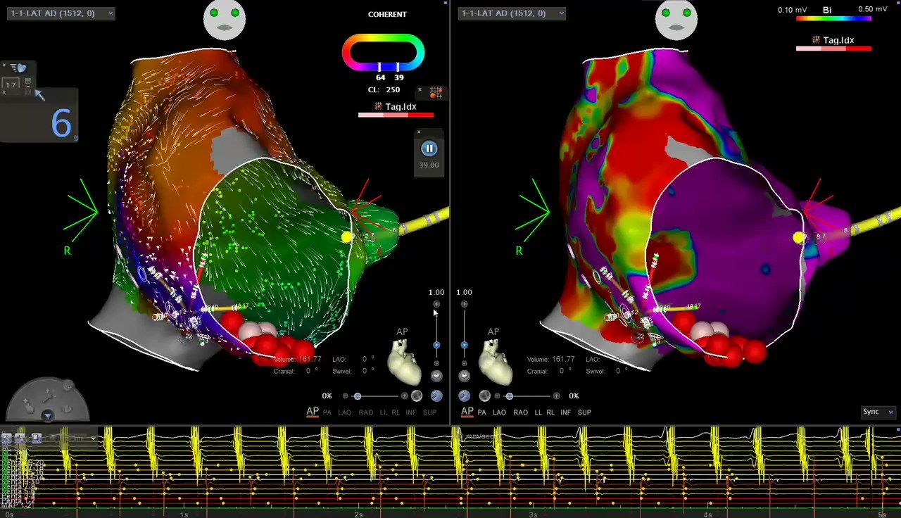 Carinahardyep Drpchacko Mdtolgaaksu Natale Md Dr Santangeli Weldspro1 Schakrabartiep Narrowqrs True Ep Epwoodsshop Krishkancharla Drrodericktung Drluissaenz Ocanoperez Micheleb Md Paulzei Cesarbos Hapa Ep Josoriomd Ftrae