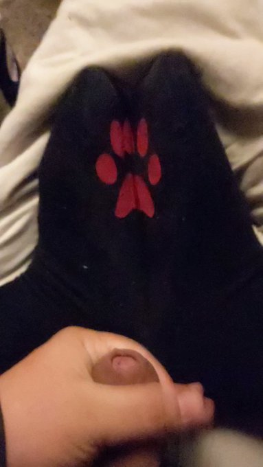 Elijah✨’s pics and videos