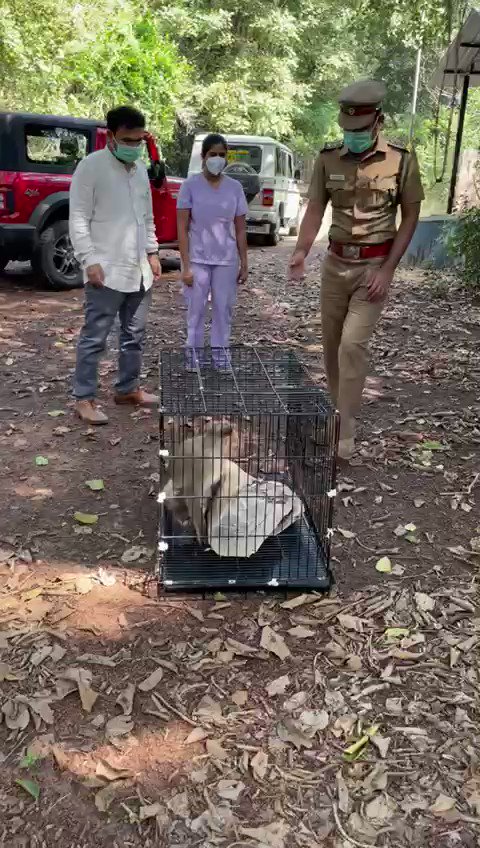 Supriya Sahu IAS on Twitter: Supriya Sahu IAS on Twitter: