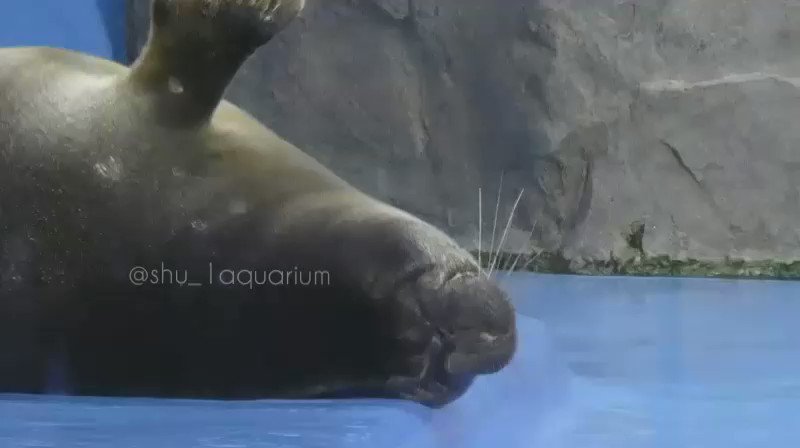 Gnmklrtimm2kqm Gnmklrtimm2kqm