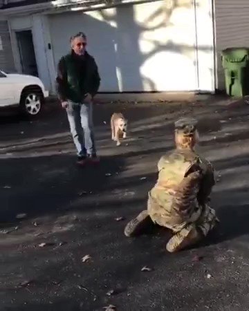 1年ぶりに軍人の飼い主に再会した犬が最初は警戒するけど？30秒後思い出す！