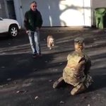 1年ぶりに軍人の飼い主に再会した犬が最初は警戒するけど？30秒後思い出す!