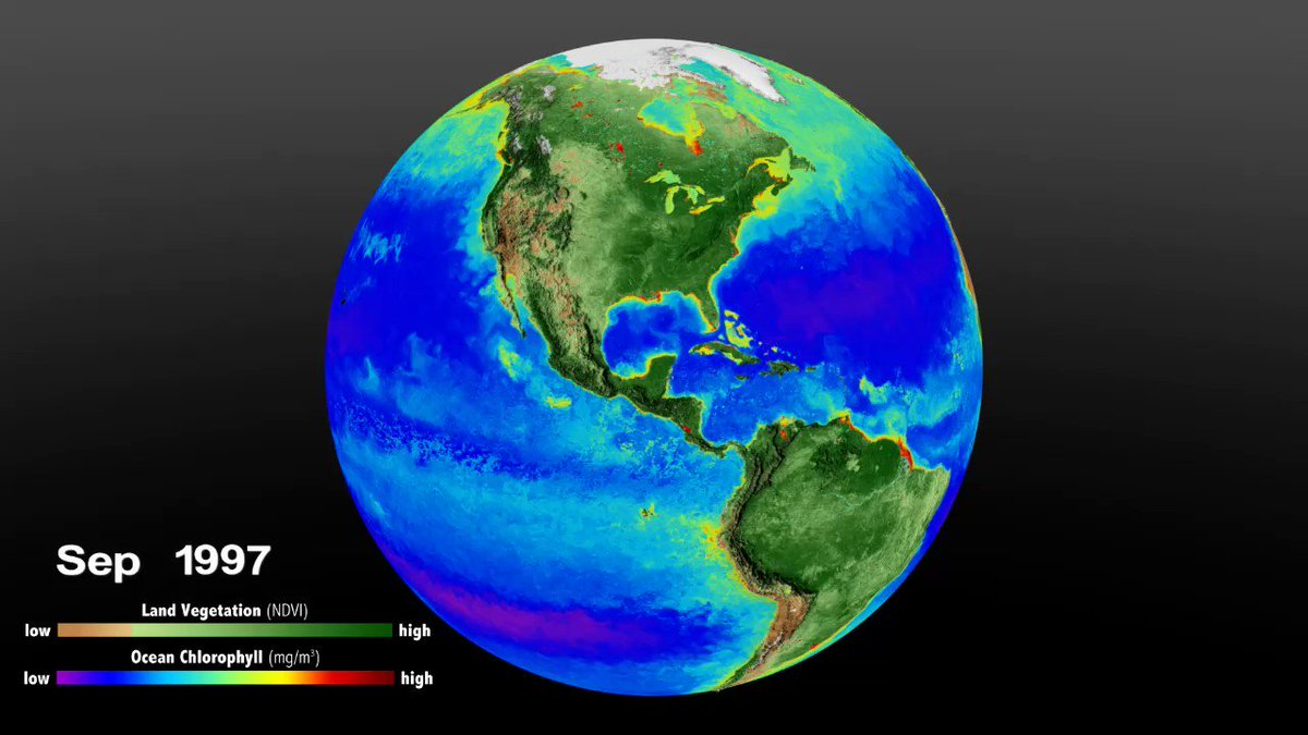 Image for the Tweet beginning: A breathing Earth

Rotating globe showing