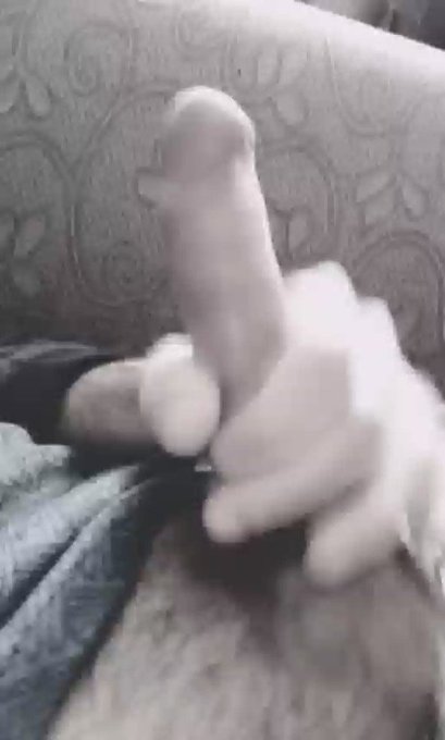 Suck it. ???
.
.
#jerkita91 #porn #gayporn #cock #cum #masturbation #daddy #dilf
@Tragn4 @DPatrappa @gaycreators