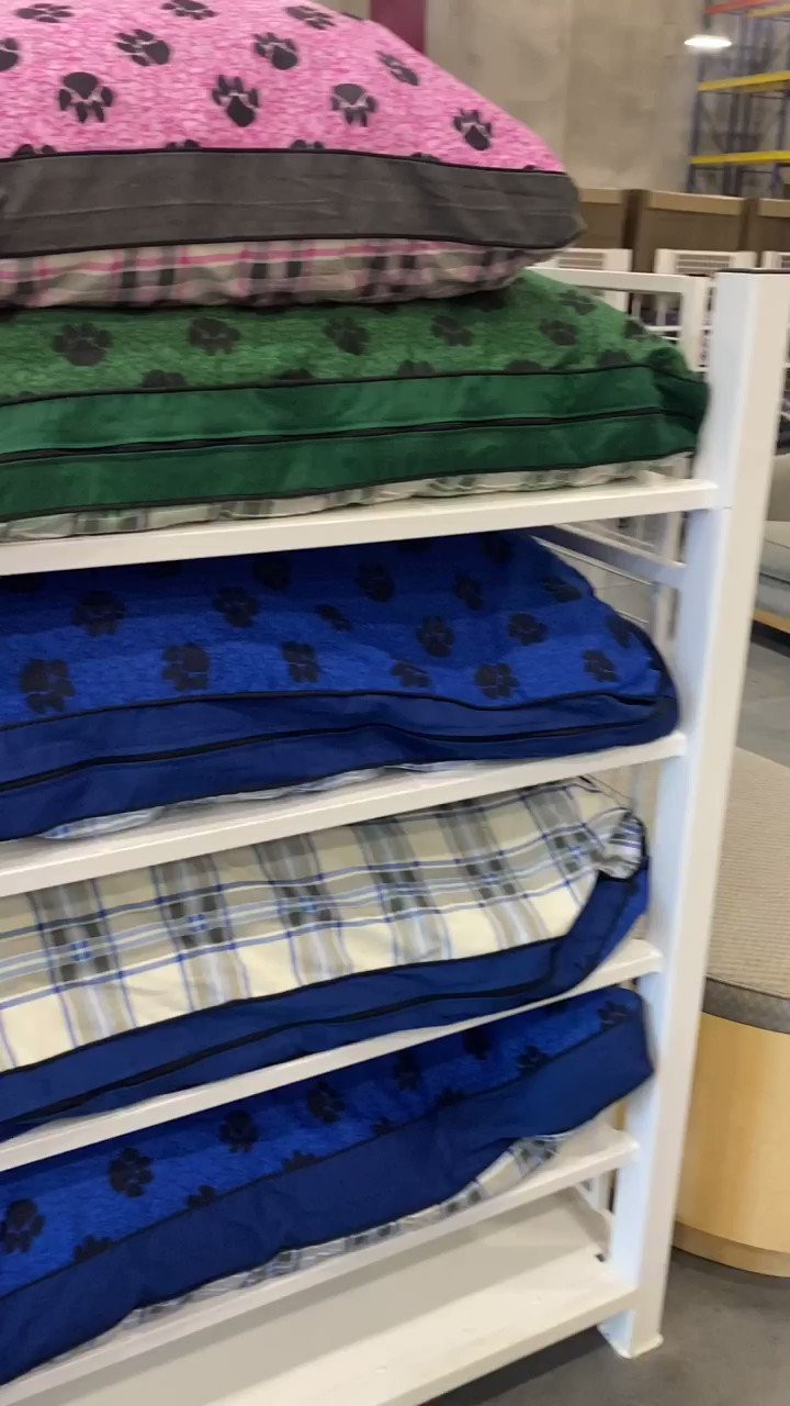 MyPillow Outlet Store (MyPillowOutlet) / Twitter