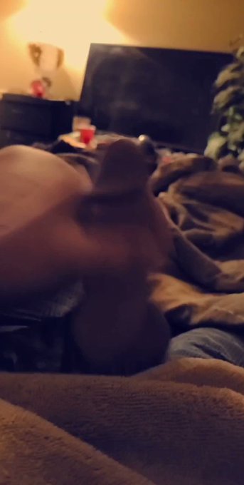 Another snapchat compilation with cumshot coming up! #onlyfans #onlyfanspromote #cock #dick #bigdick