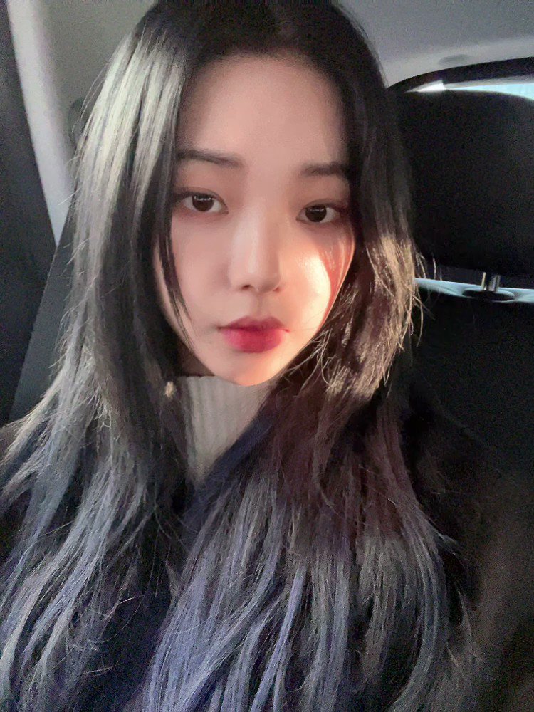 트위터, twitter - 딸플릭스