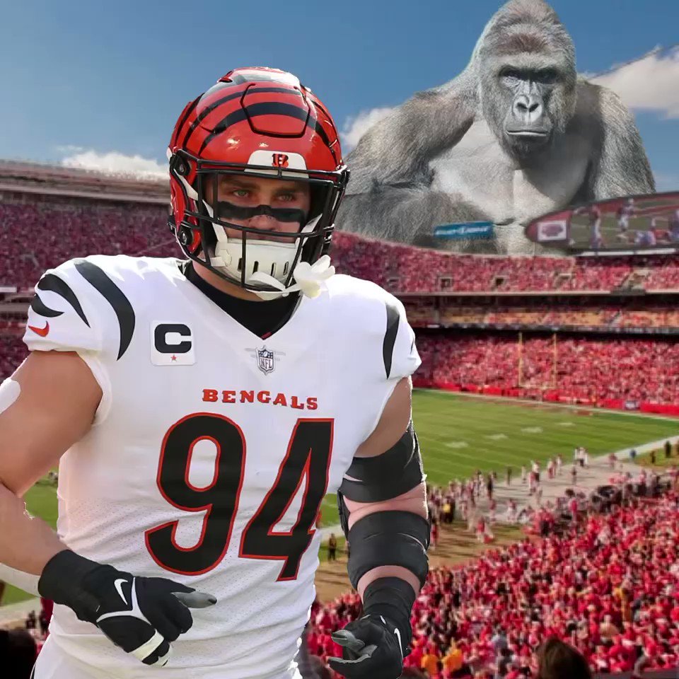 Pardon My Take on Twitter: "It's official, via @Sam_Hubbard_… THIS BENGALS  SUPER BOWL RUN IS FOR HARAMBE! https://t.co/l2GTV00O8c" / Twitter
