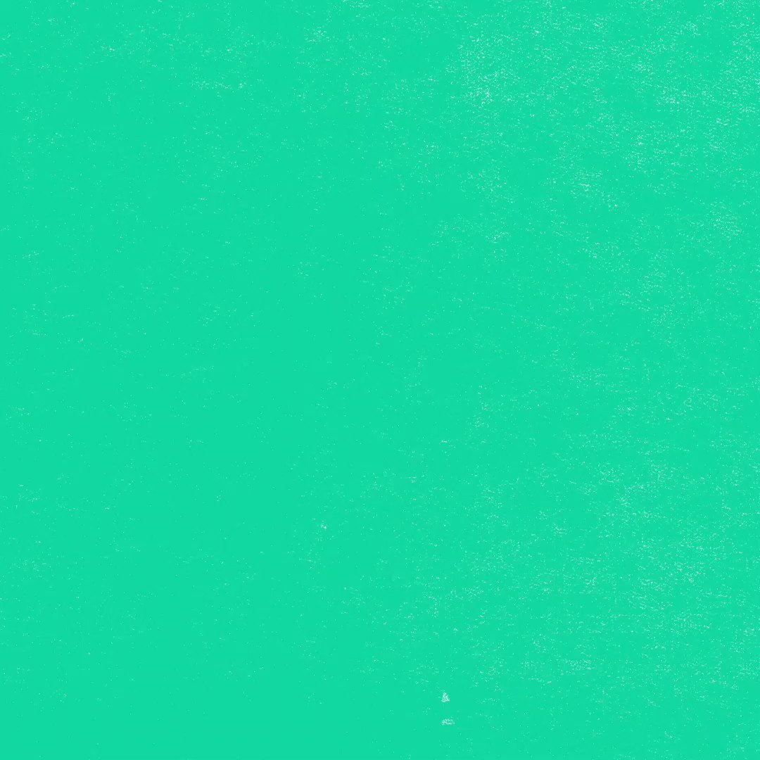 @conangray's video Tweet @conangray's video Tweet