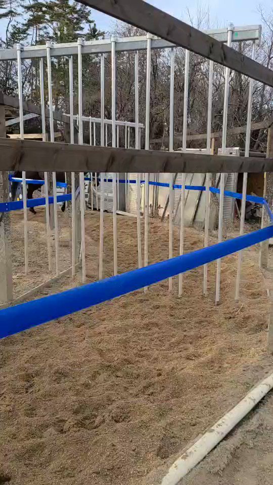 ＃ディオブルネッタ 