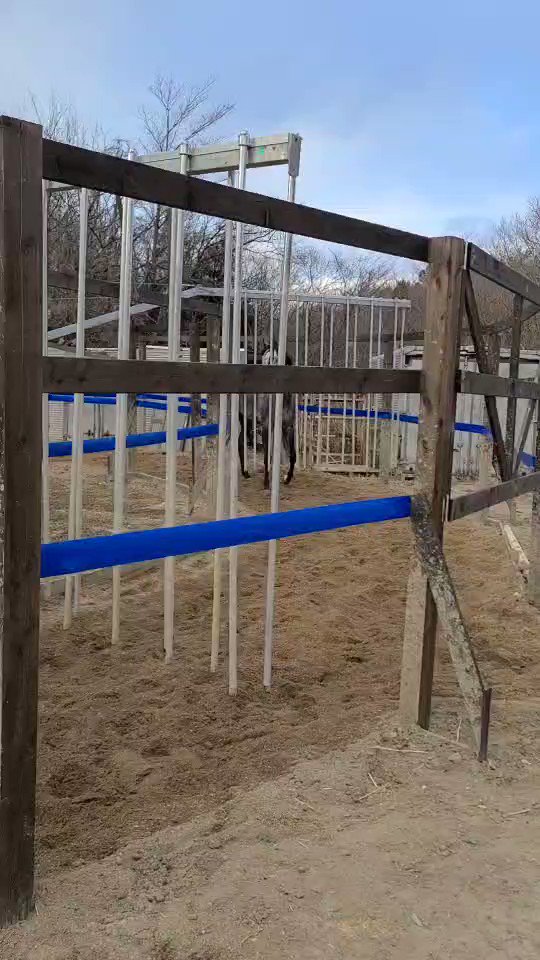 ＃ネージュダムール 