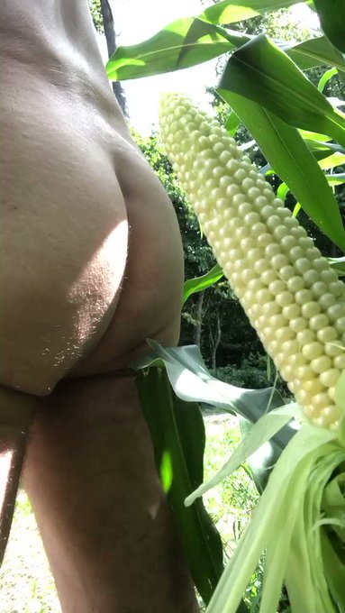 How about getting fucked by a corn cob? in the middle if the field, like @teaser_ch ?

Isn’t this superhot