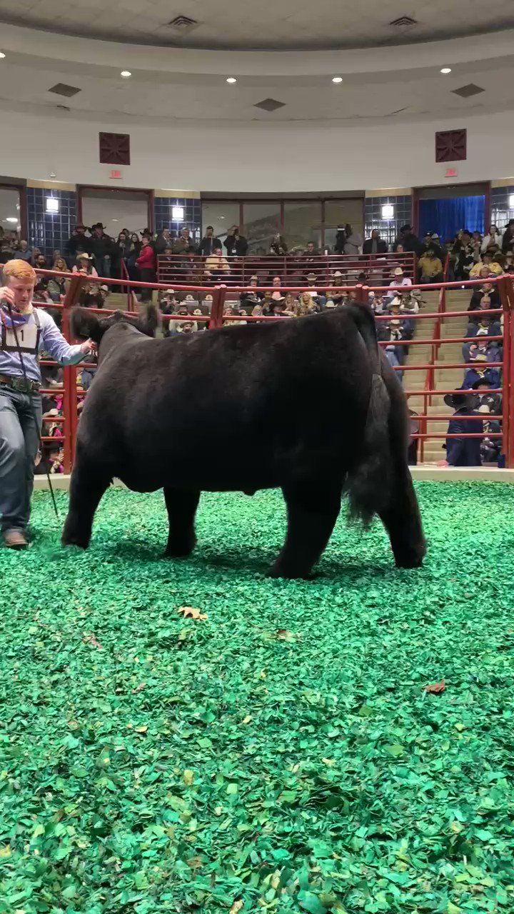 FWSSR on Twitter "Steve, the 2022 Grand Champion steer sells for