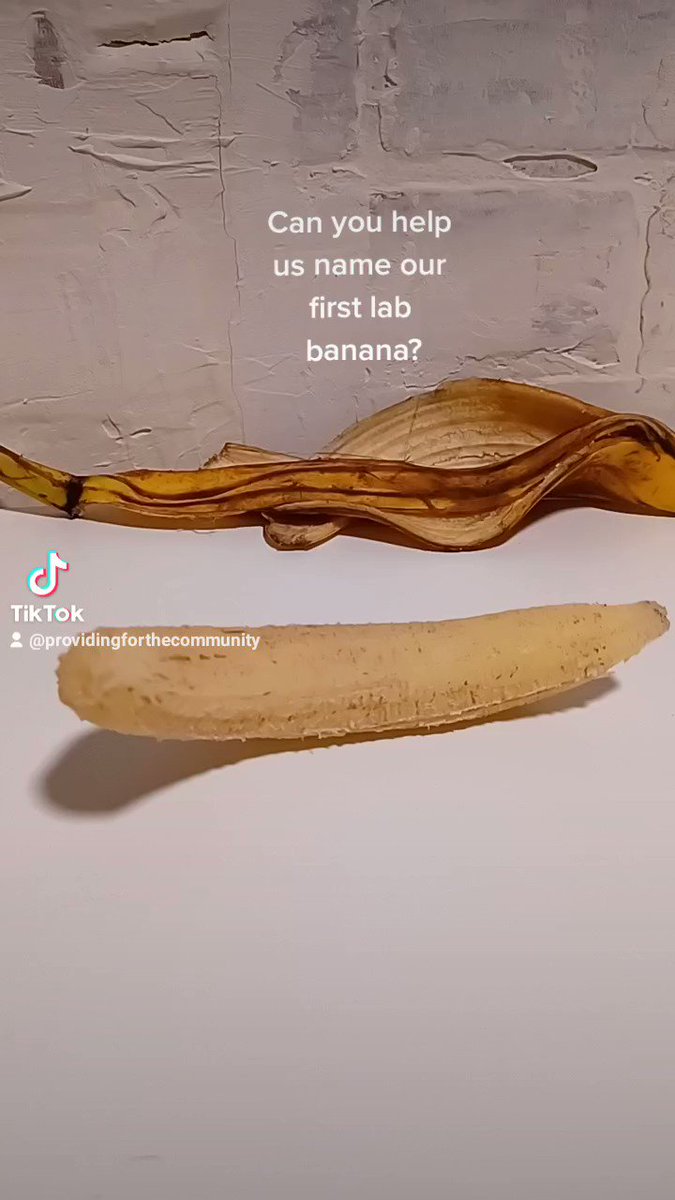 banana shaped lv｜TikTok Search