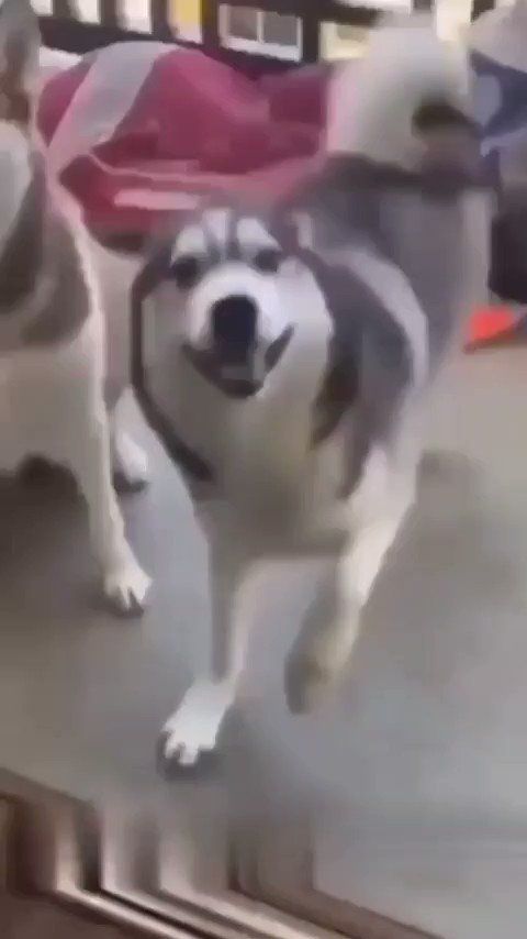 234 ハッピーなダンス