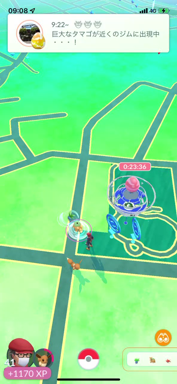 犬になりたい おや メタモンでした ポケモンgo ポケモンgoメタモン T Co Kh5pazd6os Twitter