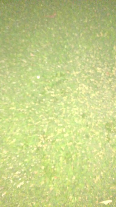 Him: Don&rsquo;t touch my ass bro!!  Me: Girl, Bend ova👅💦 https://t.co/2QlF22WhpM<a href="/tag/retweet"class="tags"><span>#retweet</span></a>