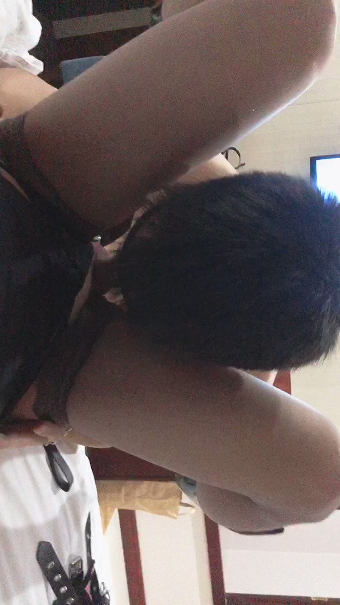 트위터, twitter - 딸플릭스