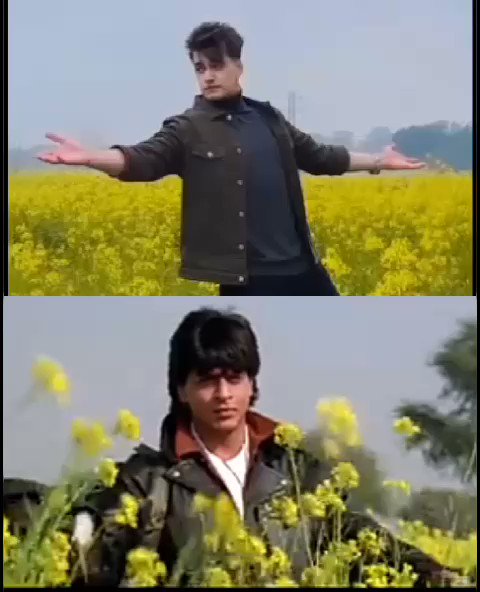 Kajol and Shah Rukh Khan Recreate the Magic of DDLJ After 20 Years! - Masala