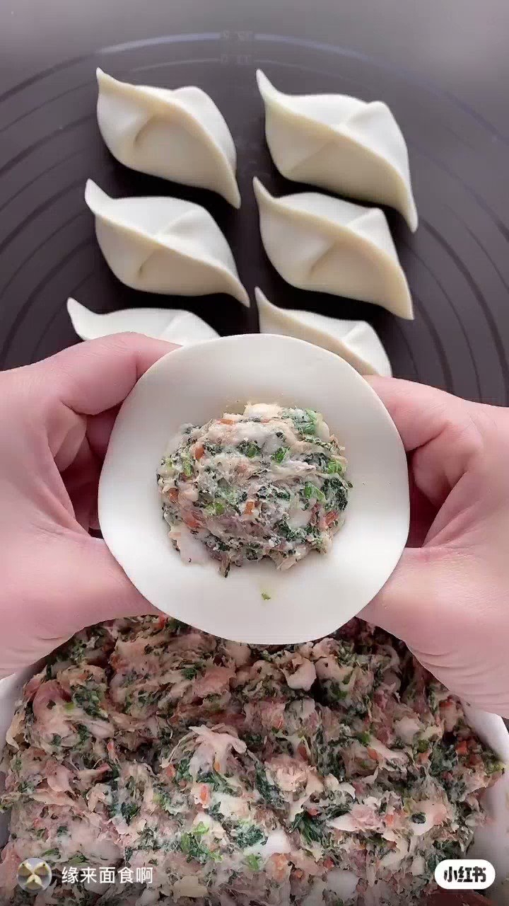 Hani 餃子の包み方なんだけも 早くて綺麗で これは良い T Co Rk4guy7bye Twitter