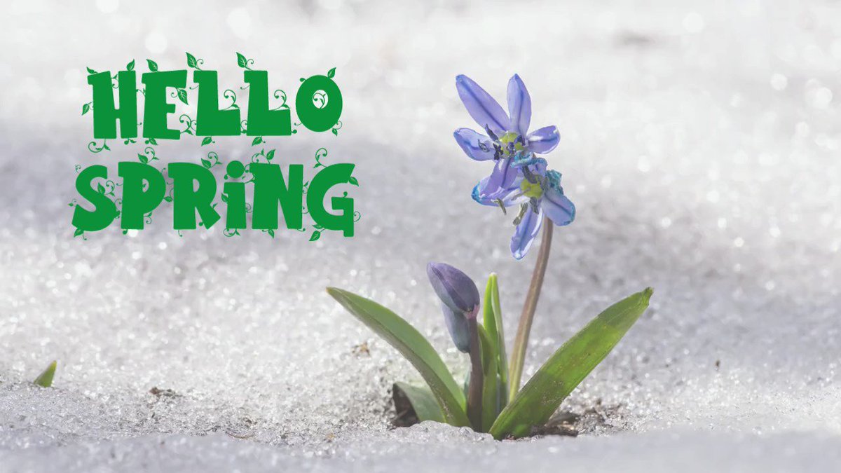 The first day of spring is one thing, and the first spring day is another. Either way - warmer weather, playing in the dirt, and growing season is coming. Celebrate the First Day of Spring TODAY!
#SpringIsComing #firstdayofspring #minnesota #playinthedirt #growingseason https://t.co/SR6NdOTy41