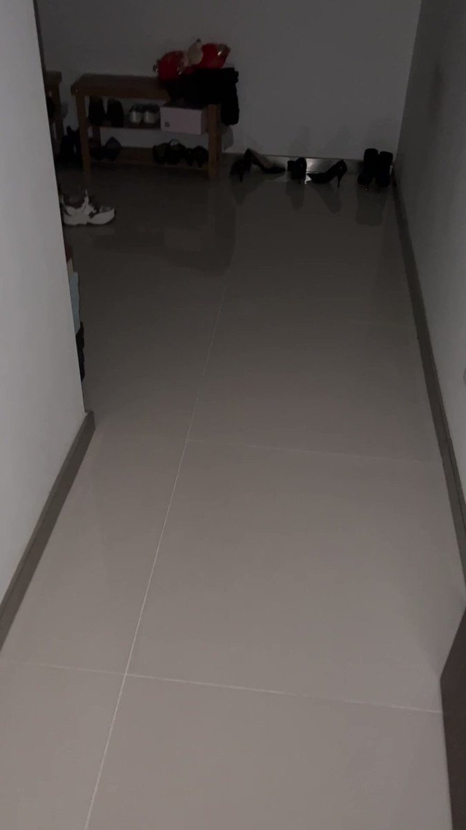 扫楼顺丝打胶 | Twitter Video Tools