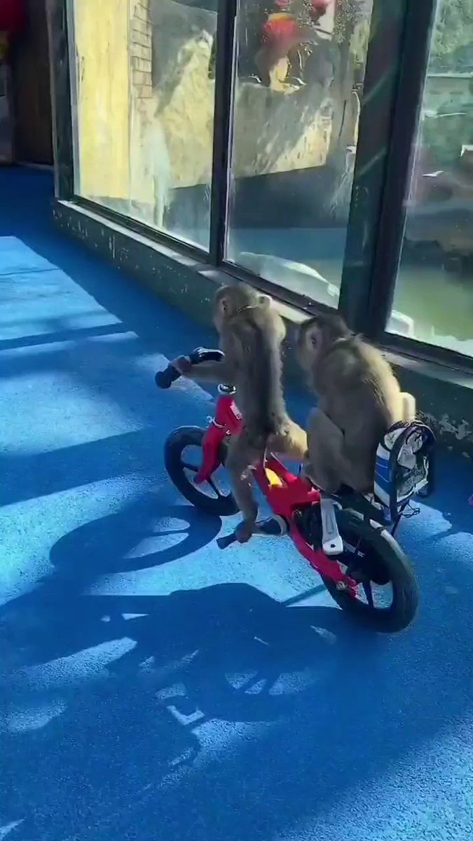 Phallus Maximus 🍆 (@MeatStuffer) / X