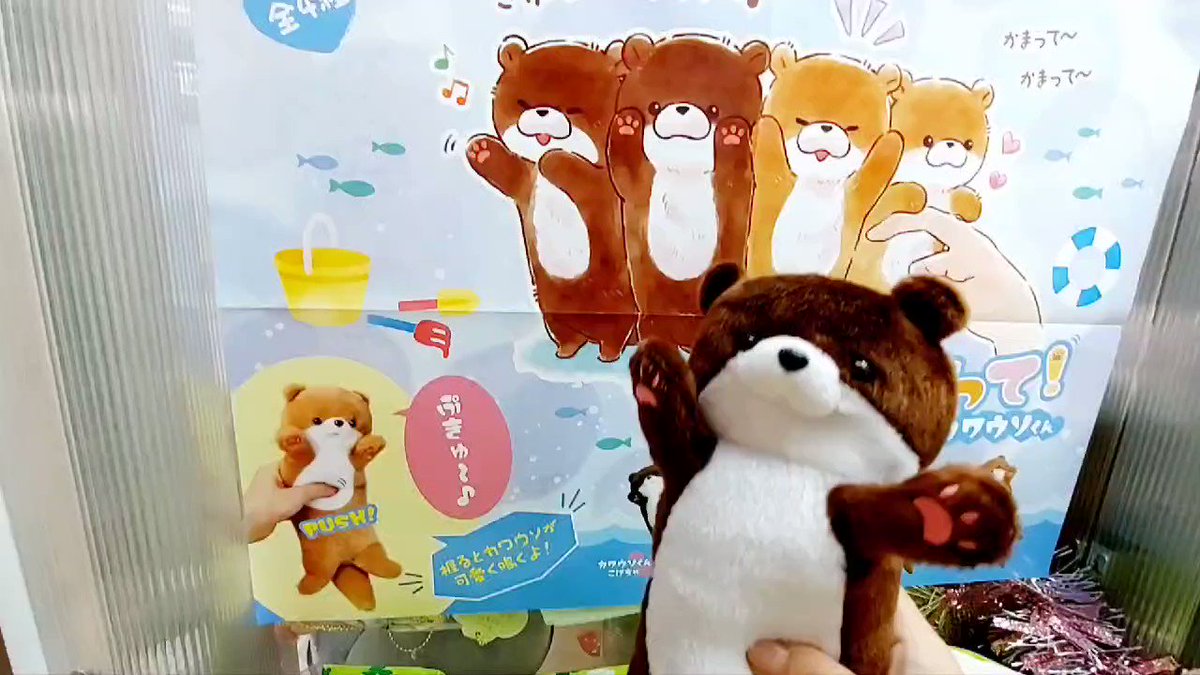 @apia_sakura_y's video Tweet