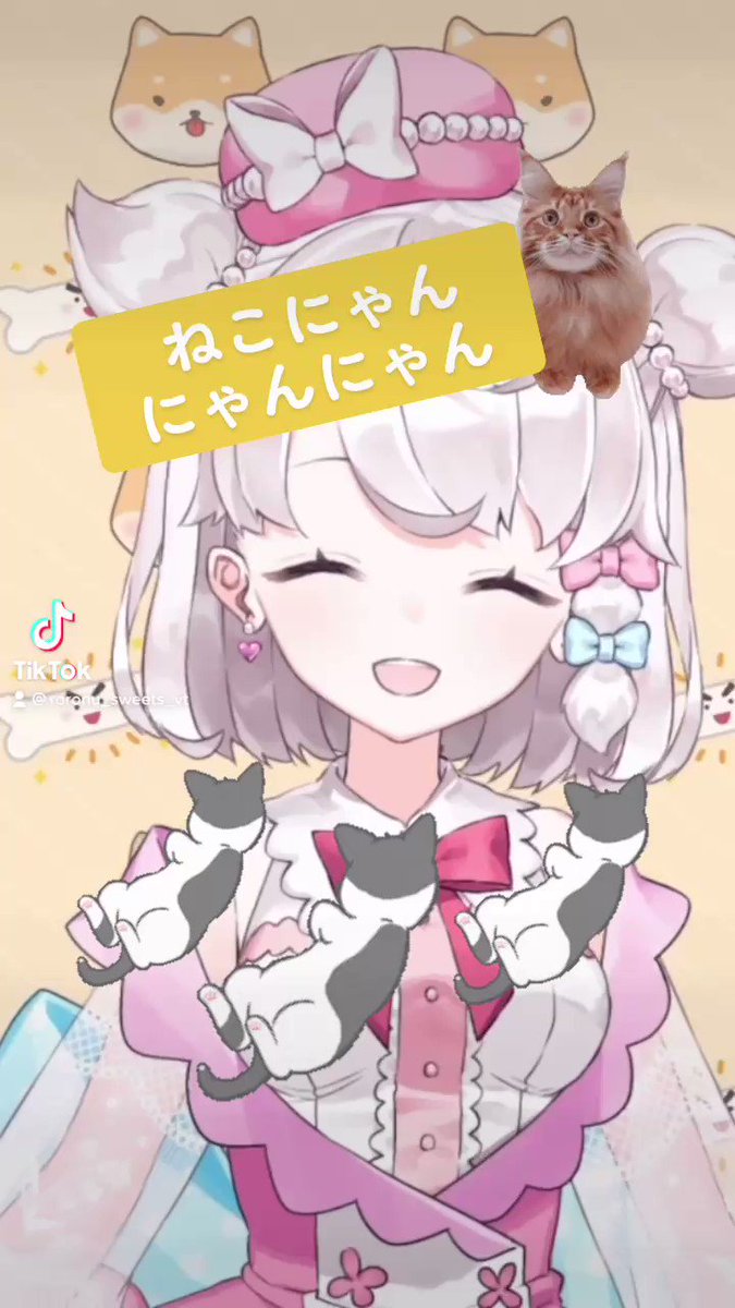 •*¨*•.¸♬︎ねこにゃんにゃん•*¨*•.¸♬︎ ちこ on X: 