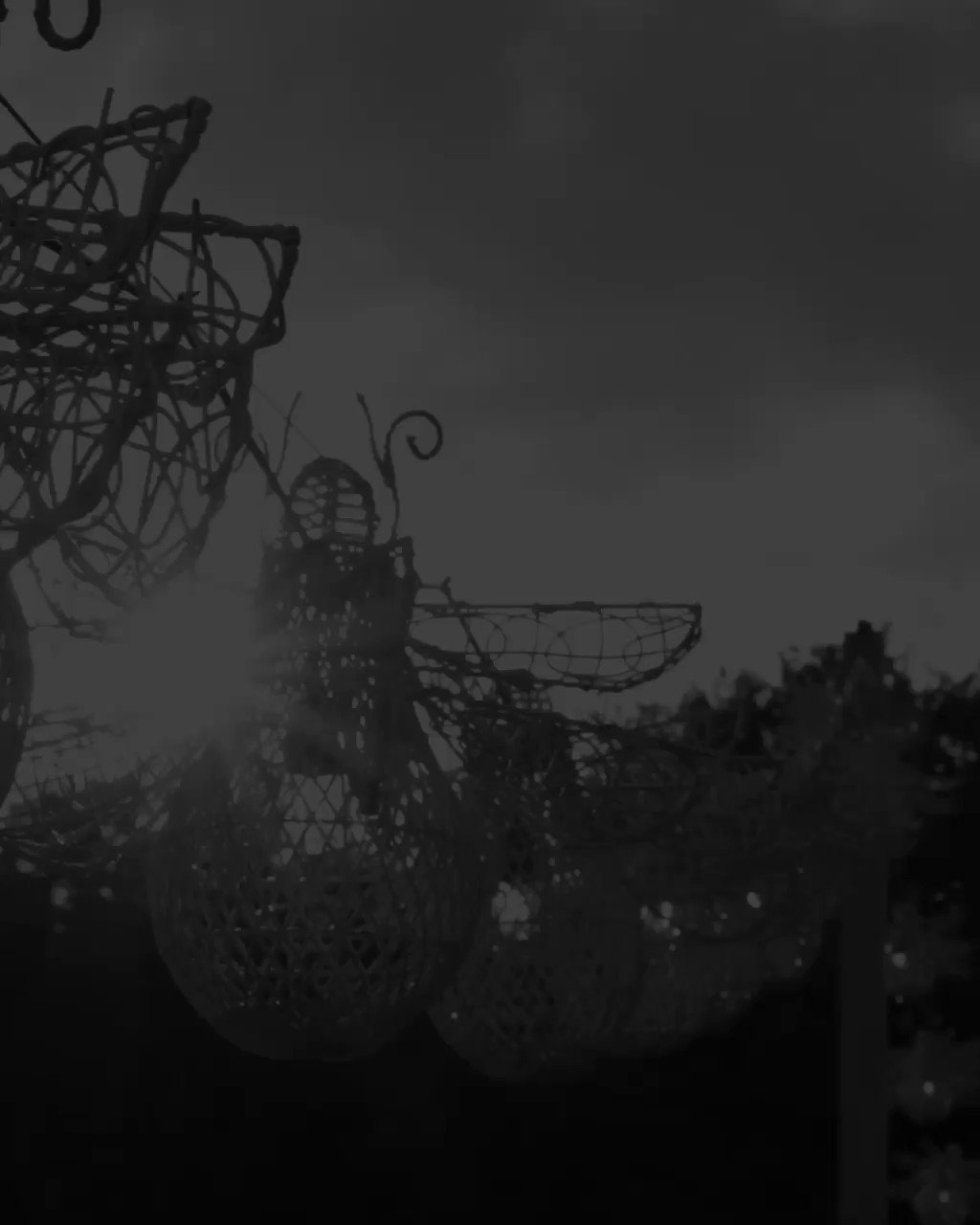 Firefly Festival on Twitter "🖤 https//t.co/ZDsx8tcByK" / Twitter