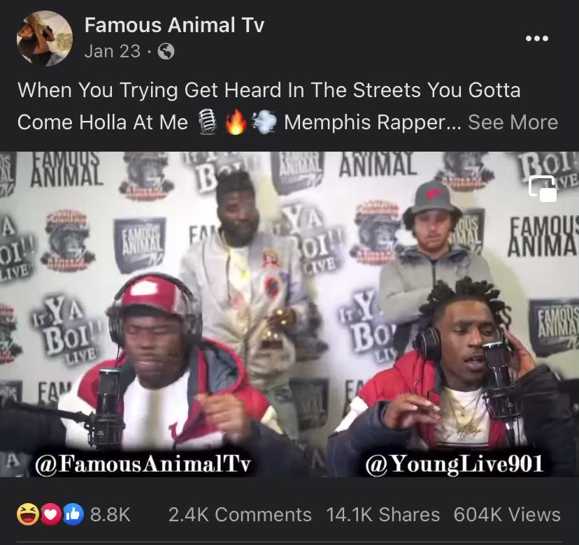 Famous Animal Tv (@SquadDouble00) / Twitter