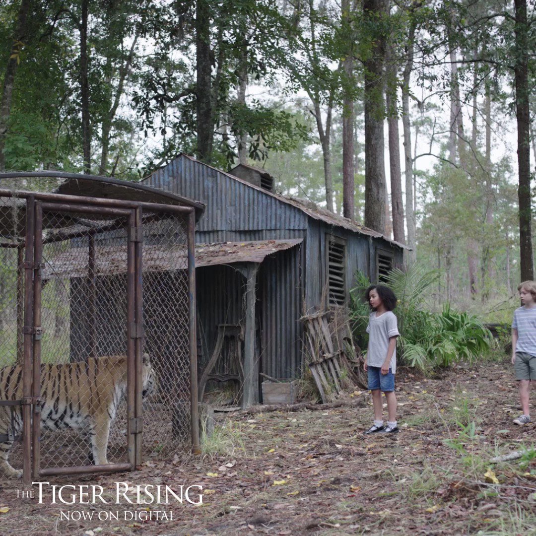 the tiger rising movie sistine