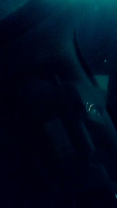 bs all day https://t.co/iCLFSIUlgj