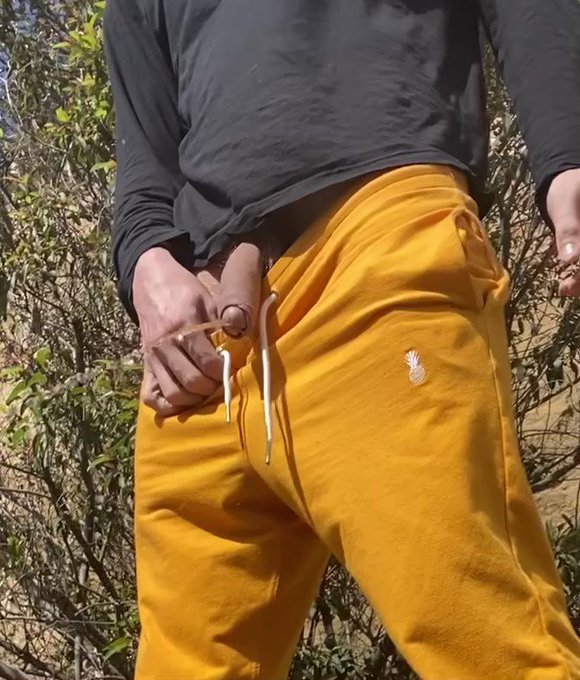 Well I was driving around Malibu today and had to piss ? so I just pulled over and whipped my dick out