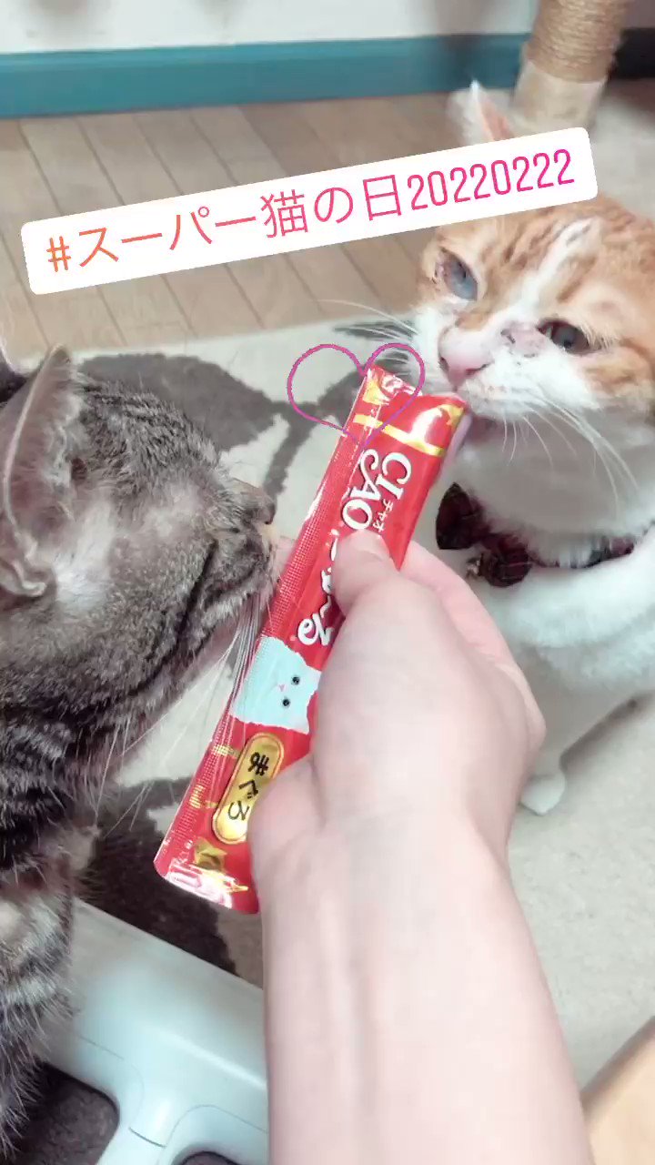 結局我が子が1番かわいい – търсене / X